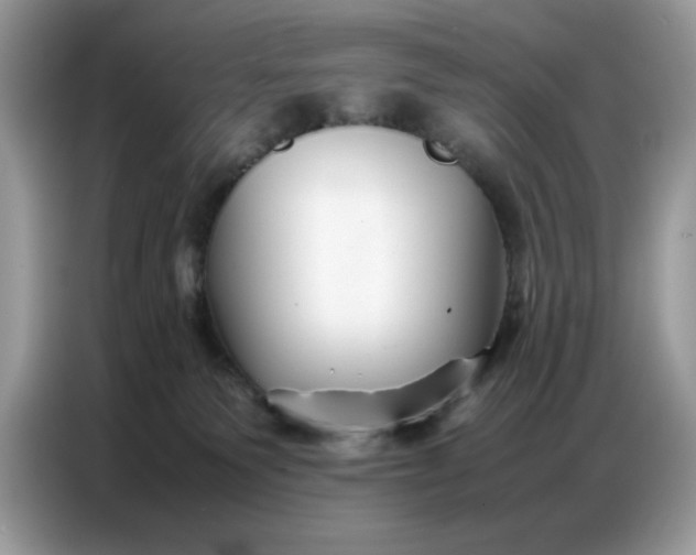 X0000086740135200704271658