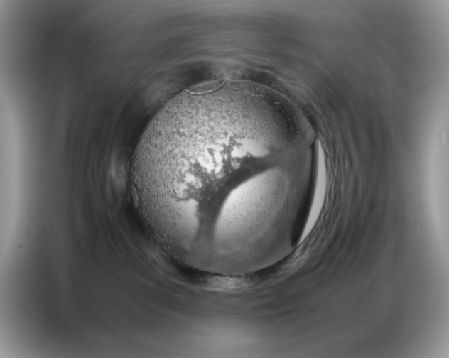 X0000086740139200704271658