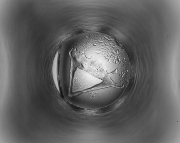 X0000086740143200704271658