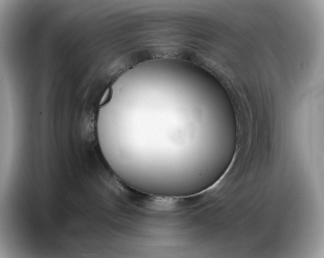 X0000086740144200704271658