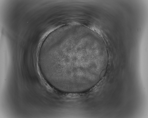 X0000086740145200704271657