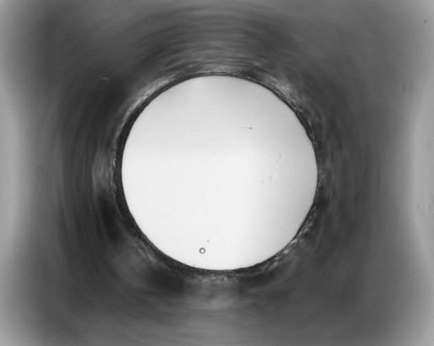 X0000086740146200704271657