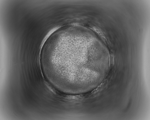 X0000086740147200704271657