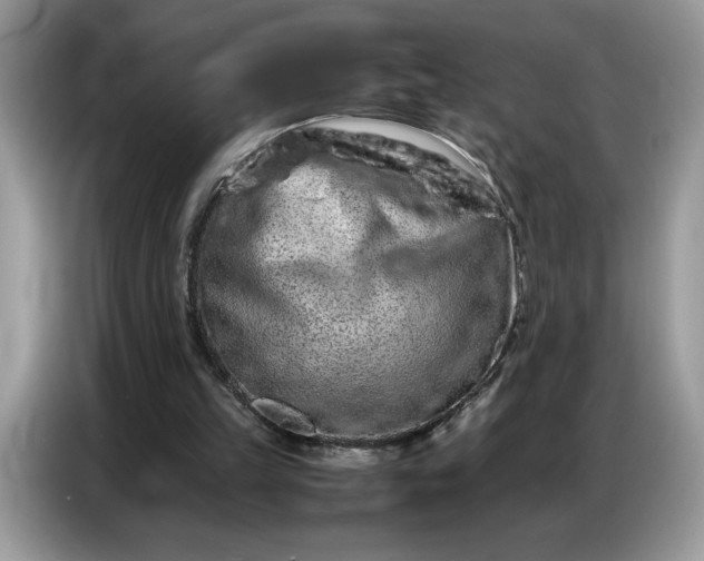 X0000086740149200704271657