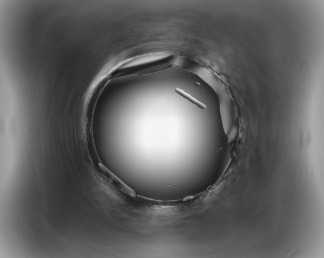 X0000086740150200704271657