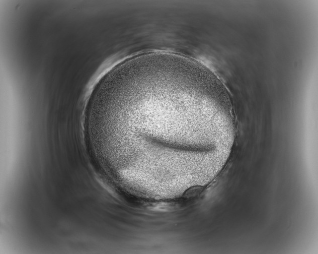 X0000086740151200704271657