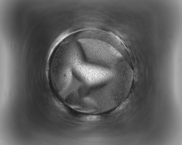 X0000086740152200704271657