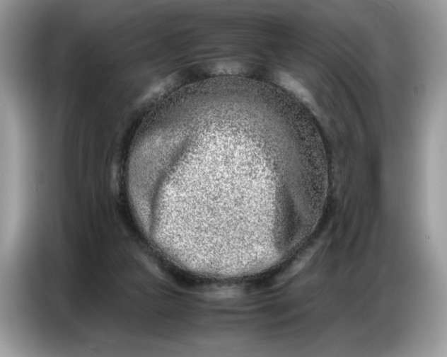 X0000086740161200704271657