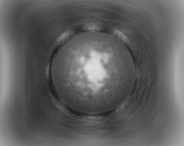 X0000086740163200704271657