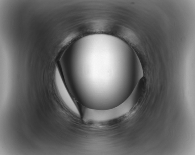 X0000086740164200704271657