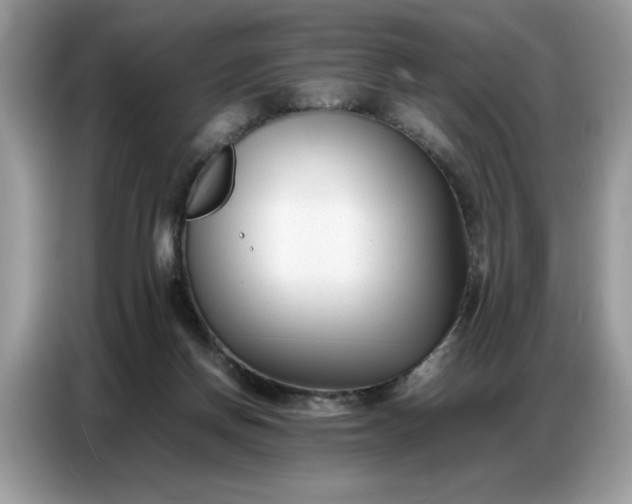 X0000086740166200704271657