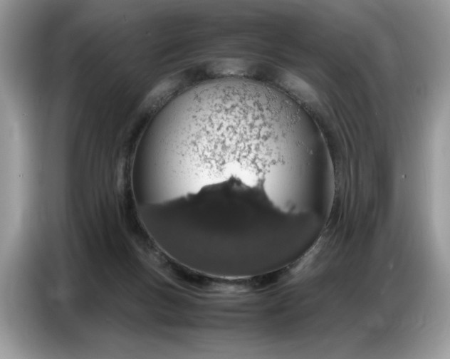 X0000086740167200704271657