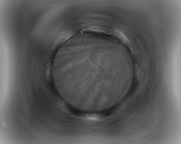 X0000086740169200704271657