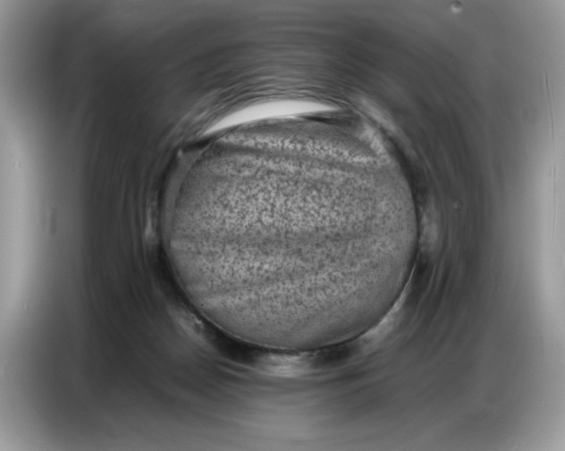 X0000086740170200704271657