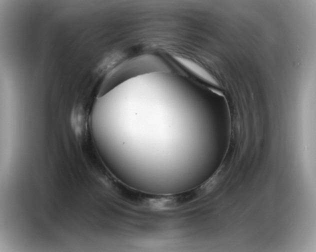 X0000086740172200704271657