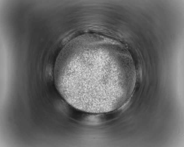 X0000086740178200704271657