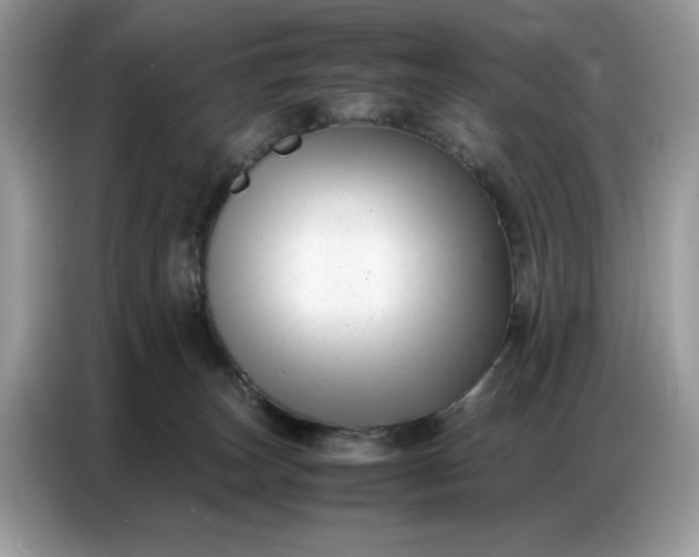 X0000086740179200704271657