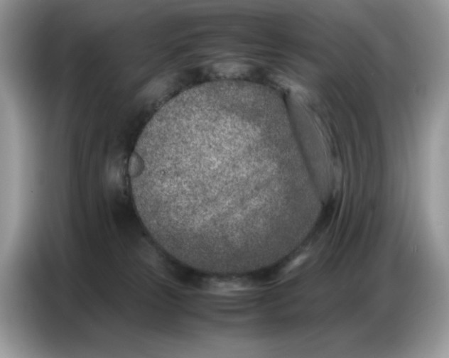 X0000086740181200704271657