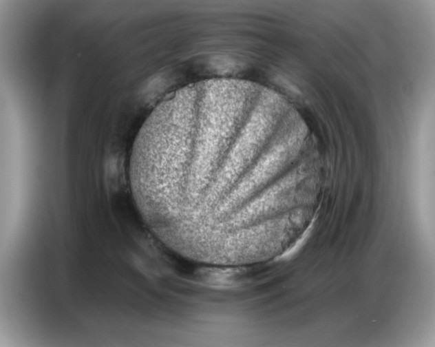 X0000086740182200704271657