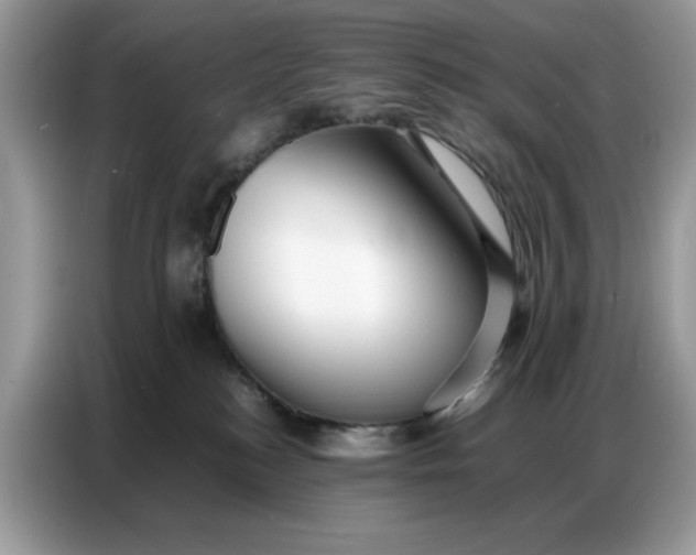 X0000086740184200704271658