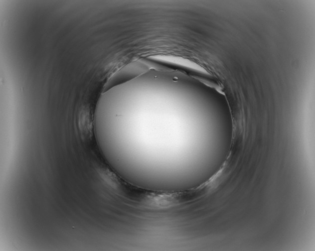 X0000086740186200704271658