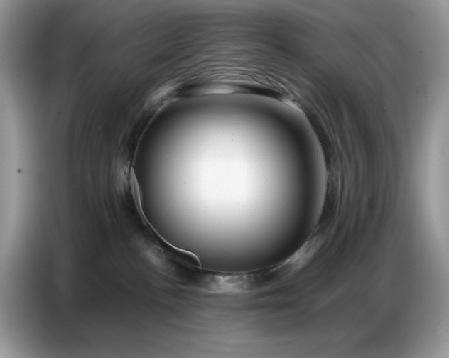 X0000086740188200704271658