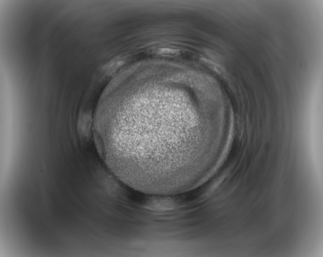 X0000086740189200704271658