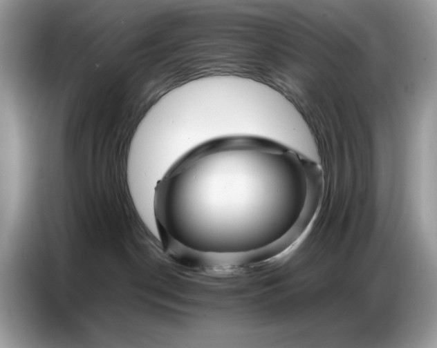 X0000086740190200704271658