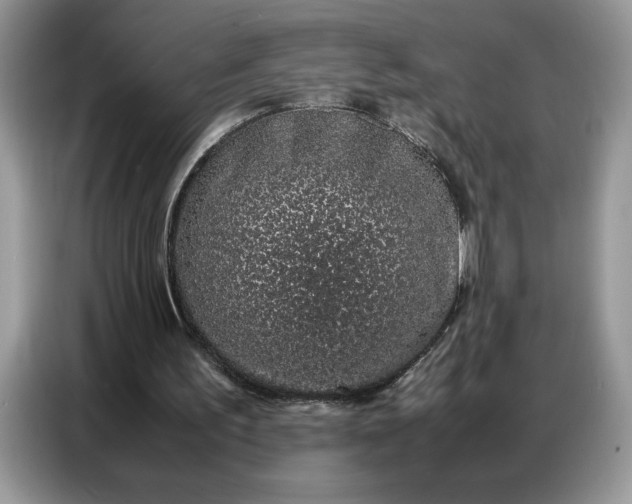 X0000086740195200704271657