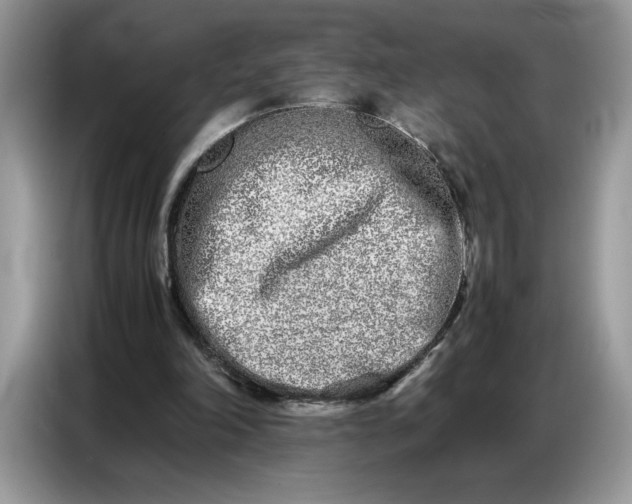 X0000086740198200704271657