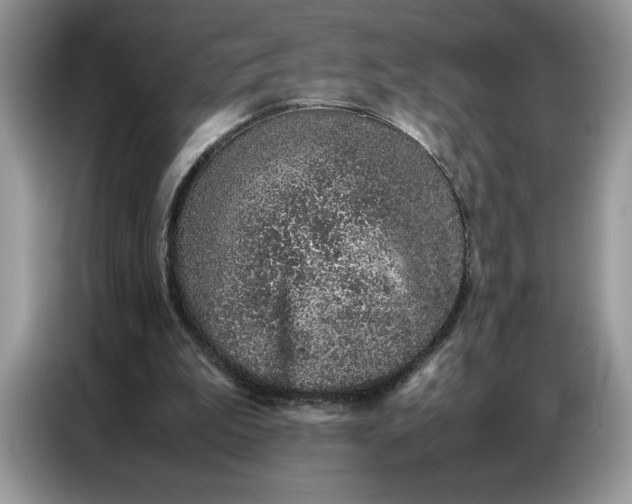 X0000086740199200704271657