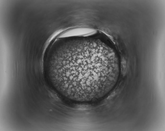 X0000086740200200704271657