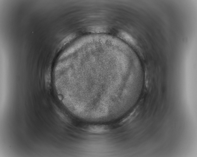 X0000086740202200704271657