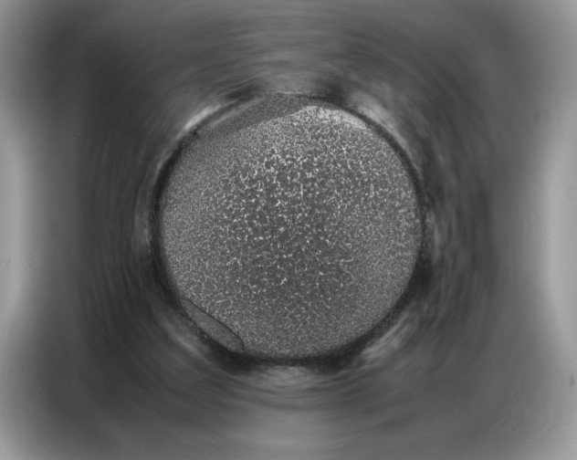 X0000086740203200704271657