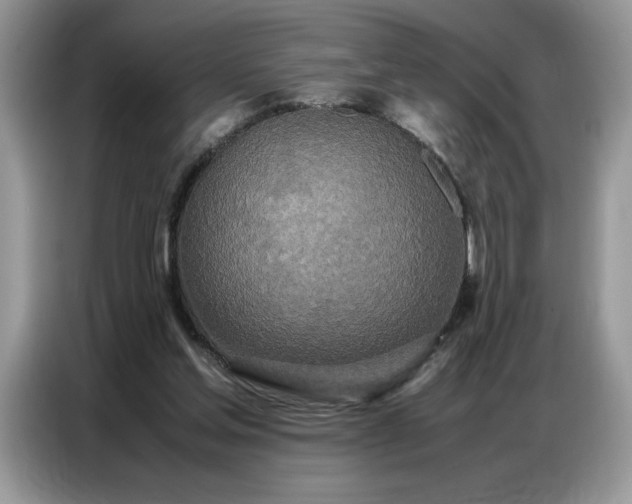 X0000086740205200704271657