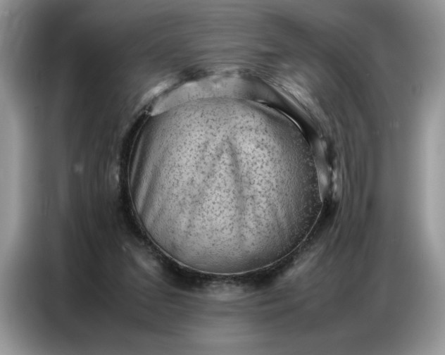 X0000086740207200704271657