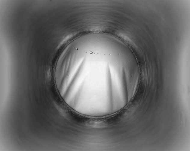 X0000086740208200704271657