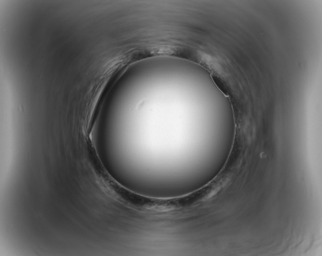 X0000086740209200704271657