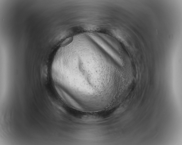 X0000086740211200704271657