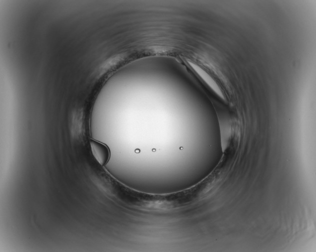 X0000086740212200704271657