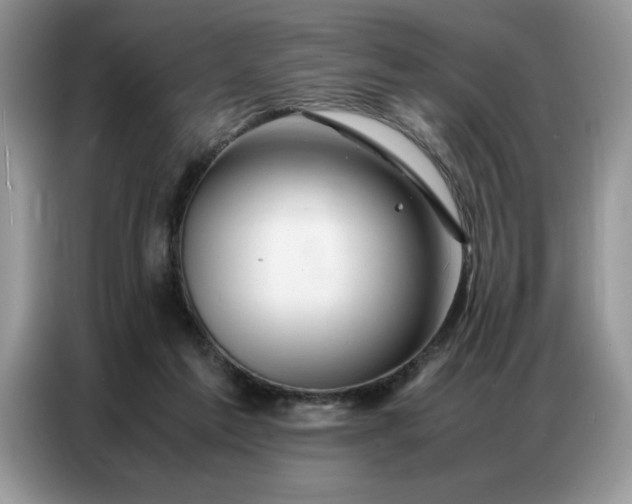 X0000086740213200704271657