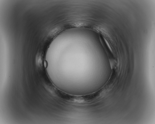 X0000086740214200704271657