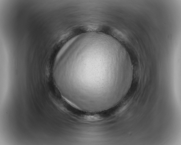 X0000086740215200704271657