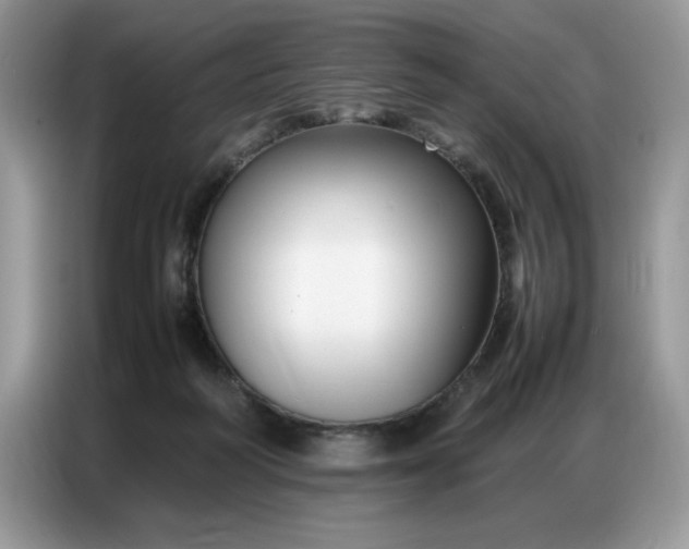 X0000086740218200704271657