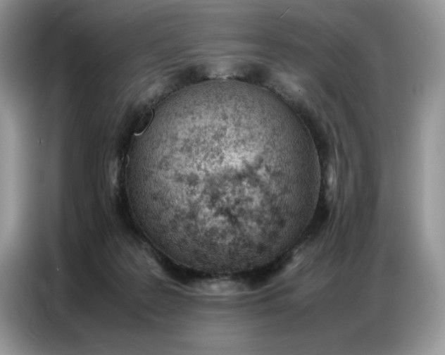 X0000086740219200704271657