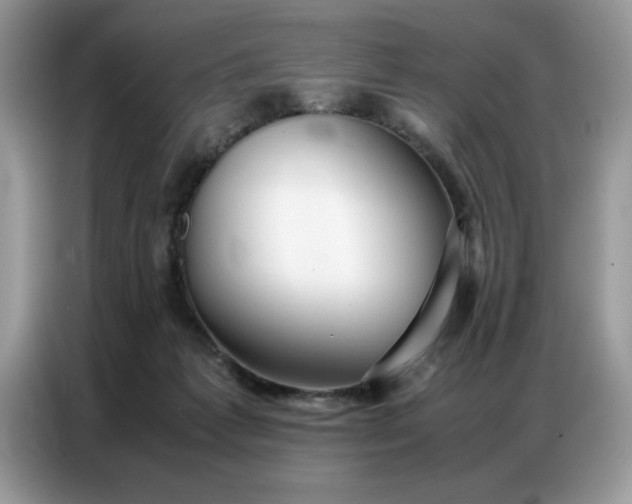 X0000086740221200704271657