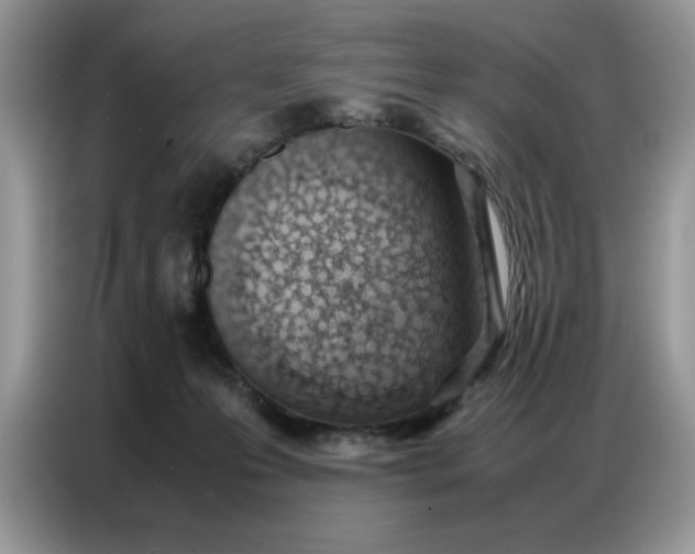 X0000086740223200704271657