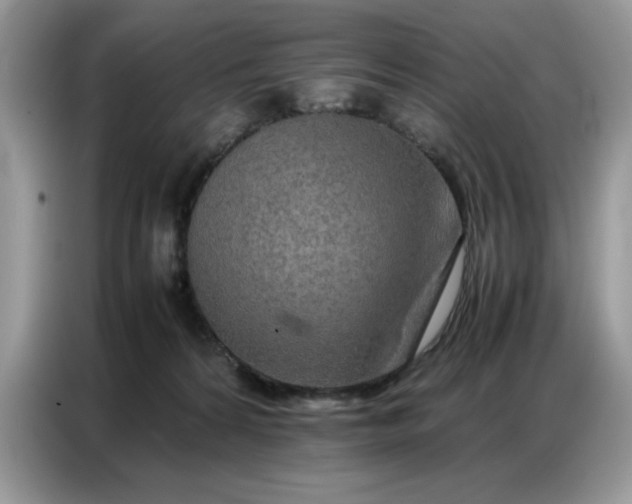 X0000086740224200704271657