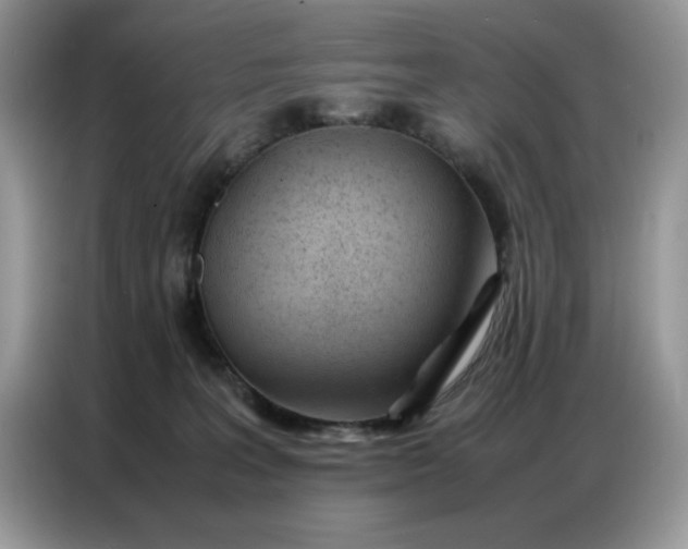 X0000086740227200704271657