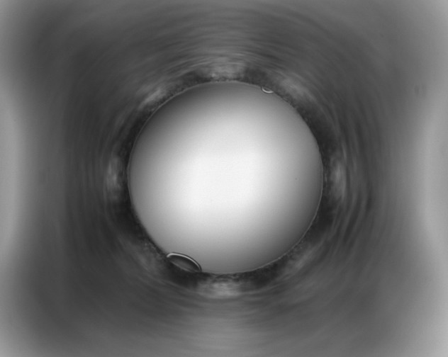 X0000086740228200704271657